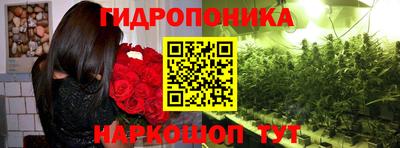 индика Первоуральск
